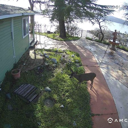 A Lake, A Mountain And The House With The Red Door Clearlake Exterior photo