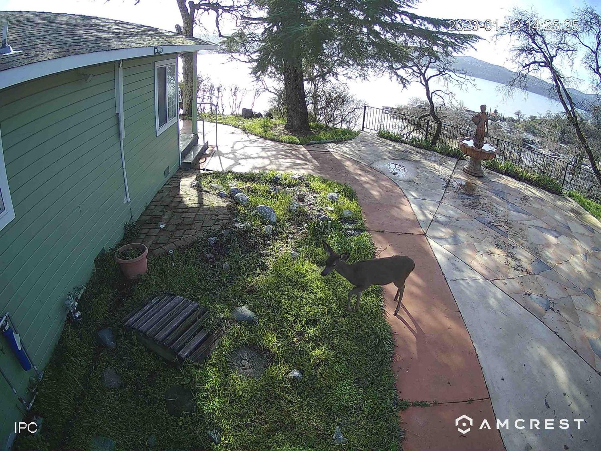 A Lake, A Mountain And The House With The Red Door Clearlake Exterior photo